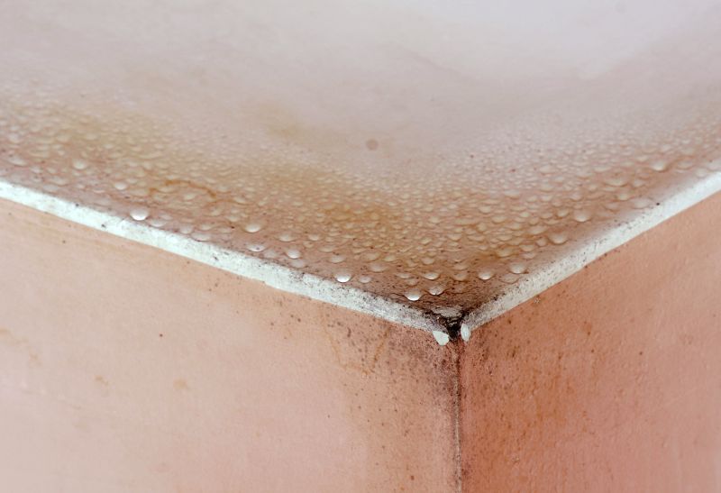Garage Mold Mitigation