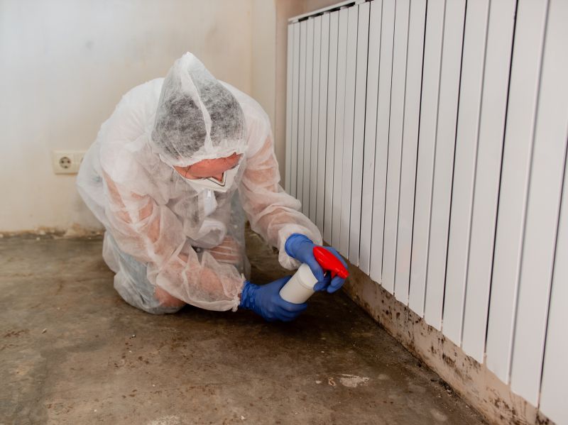 Attic Mold Removal in West Palm Beach, FL