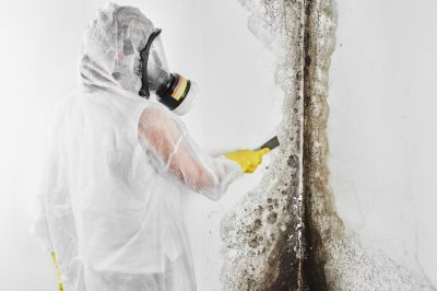 Black Mold Removal in Bergen County, NJ