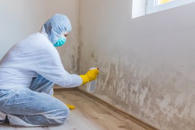 Crawl Space Mold Removal in Fort Worth, TX