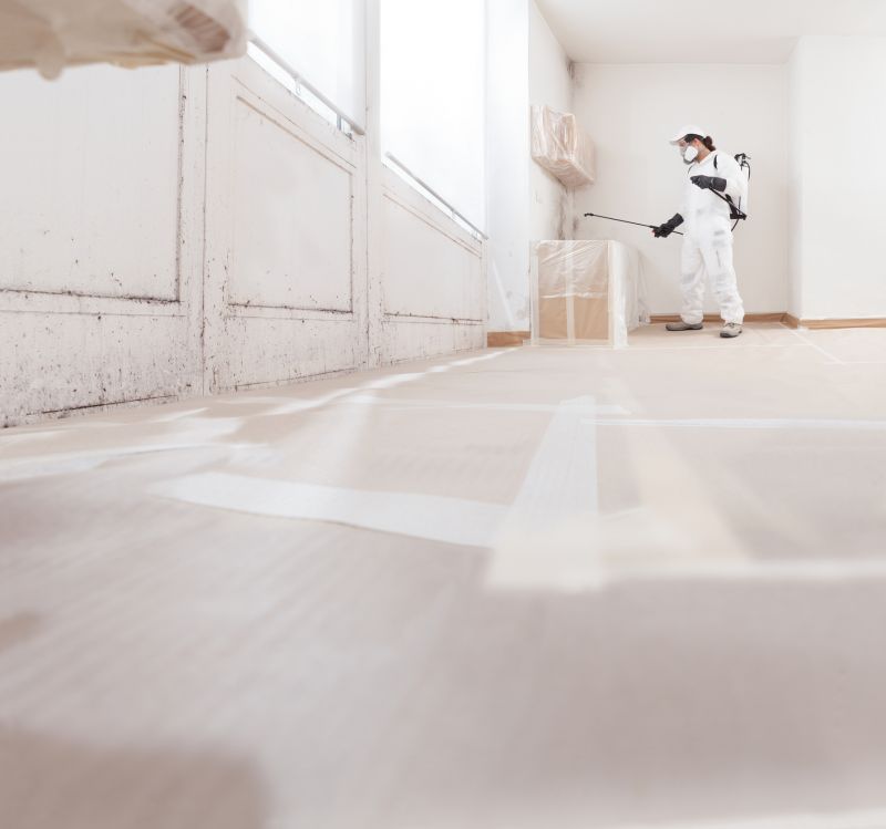 Crawlspace Mold Remediation in Frisco, TX