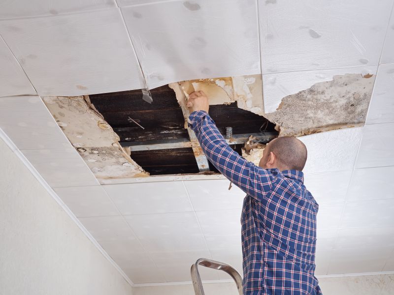 Garage Mold Mitigation