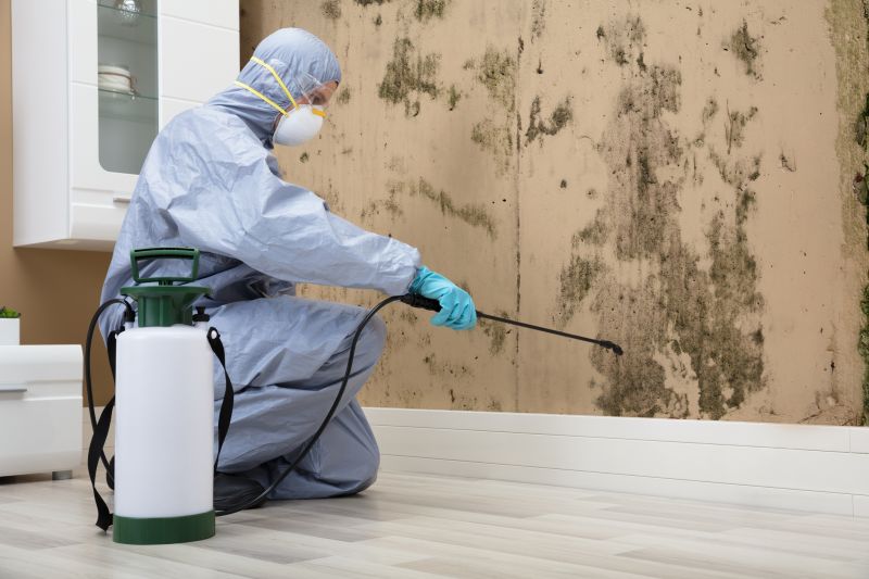 Professional Mold Remediation