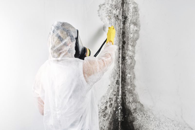 Mold Abatement Service in Essex County, NJ