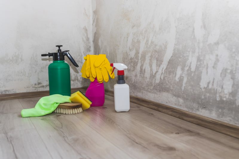 Mold Abatement Service in Fort Lauderdale, FL