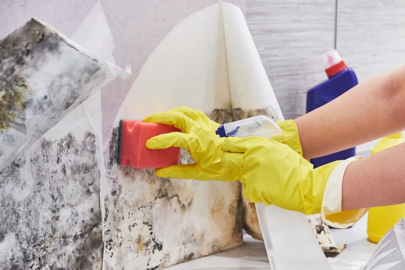 Mold Abatement Service in Fort Lauderdale, FL
