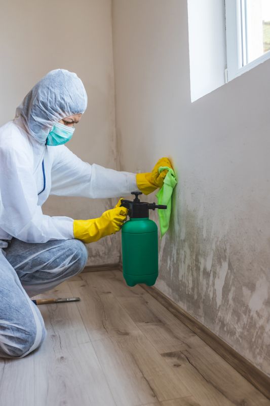Mold Remediation Service in Jupiter, FL