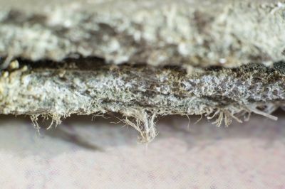 Vermiculite Removal Service in Morris County, NJ