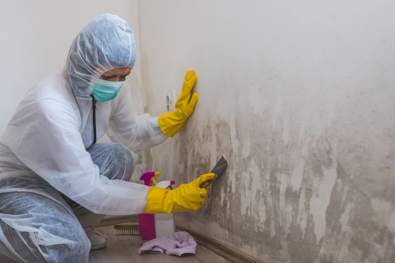 White Mold Mitigation in Bergen County, NJ