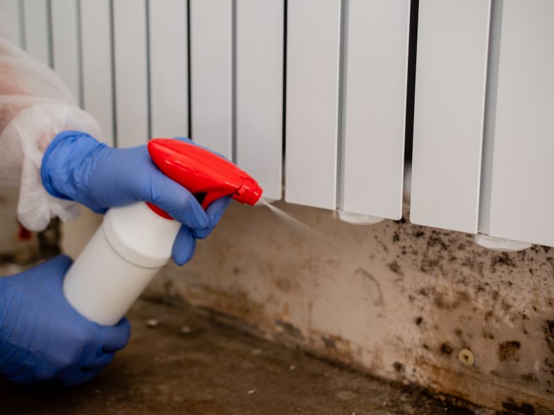Air Duct Mold Removal in Dallas, TX