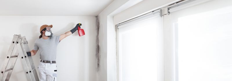 Mold Remediation Service in Bergen County, NJ