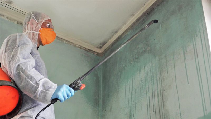 Mold Removal in Boca Raton, FL